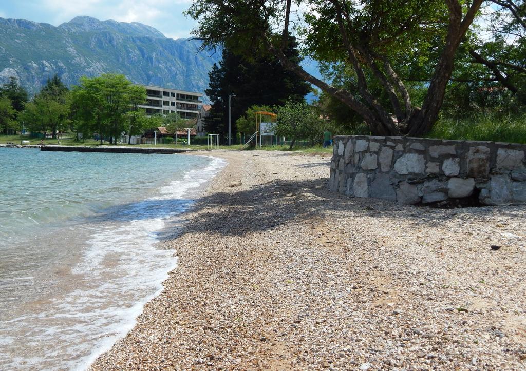 Apartments Scorpio Κότορ Εξωτερικό φωτογραφία
